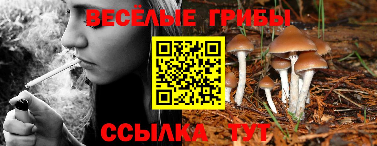 Петрозаводск  Галлюциногенные грибы Magic Shrooms  Вход с VPN  Псилоцибиновые грибы Magic Shrooms 
