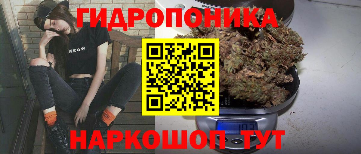 Бошки Шишки планчик  Канабис сатива  Петрозаводск  Бошки марихуана THC 21%  Вход с VPN 